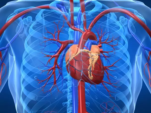 Ushtrimet për rritjen e fuqisë janë kundërindikuar për sëmundjet e zemrës